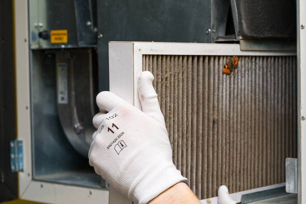 Professional Airduct Cleaning in HI